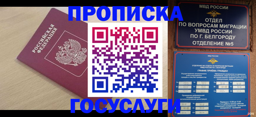 прописка законно в Зеленодольске